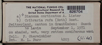Image Associated With the Occurence